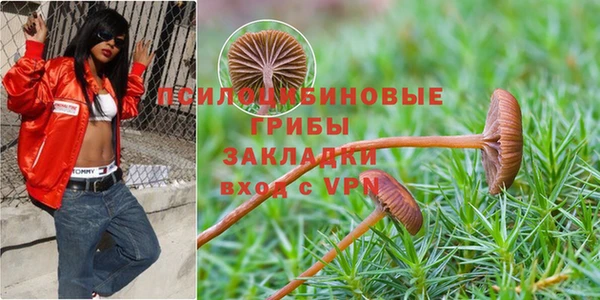 соль ск Алексин