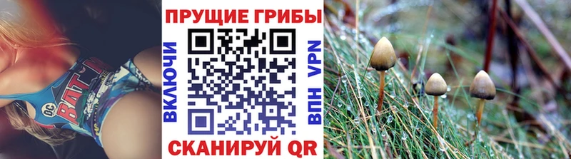 Галлюциногенные грибы ЛСД  Нижний Ломов 